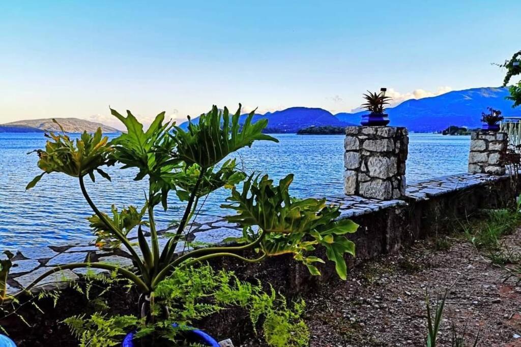 Villa Violeta Lefkada Nydri Exterior photo